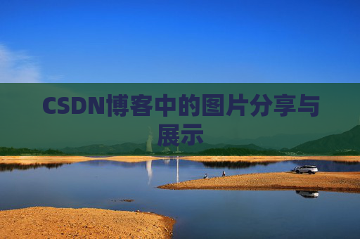 CSDN博客中的图片分享与展示
